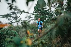 BIB: 
                            <button type="button" onclick="openModal(25258977)" class="btn btn-primary btn-sm float-right btn-popup" data-toggle="modal" data-target=".modal-high-quality">
                        <i class="fas fa-shopping-cart"></i> Add to Cart
                    </button>
                                            <button type="button" onclick="isThisMe(25258977, true)" class="btn btn-success btn-sm float-right btn-popup btn-isme hidden" data-toggle="tooltip" data-placement="bottom" title="นี่คือรูปของคุณใช่ไหม คลิกที่นี่เพื่อเอาเข้าอัลบั้ม">
                        <i class="fas fa-plus"></i> Add to album
                    </button>
                    <button type="button" onclick="isThisMe(25258977, false)" class="btn btn-warning btn-sm float-right btn-popup btn-isnotme hidden">
                        <i class="fas fa-ban"></i> Remove from album
                    </button>